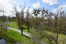 Mieszkanie Opole - 8