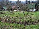 pozbyć się kretów i myszy polnych, mozna - 2