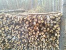 Drzewo sosnowe - 2