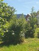 Szklarska Poręba - centrum miasta - 2
