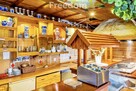 Budynek usługowy 270 m² z działką 3737 m² - 2