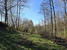 Działka rolno-budowlana Zawada gm. Tarnów - 3