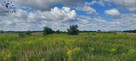 Działka przemysłowa | Lubin - 11