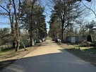 Słoneczne 3-pokojowe mieszkanie Krzywoustego - 1