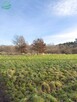 Działka budowlana Darłowo - 11