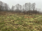 Działka rolna Zboiska gm. Radziejowice, - 4