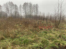 Działka rolna Zboiska gm. Radziejowice, - 5