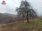Dom Pasierbiec gm. Limanowa - 15