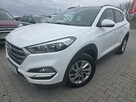 Hyundai Tucson 2.0 135ps Diesel LED Navi Kamera Cofania PanoramaDach HAK Zaresjtrowan - 5