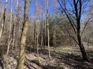 Działka Rekreacyjna, Tyśmienica, Gm. Parczew - 4
