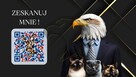 Nie po fliperze. Nie z katalogu. Za to z potencjał - 2