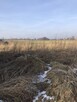 Kalisz budowlana w wyjątkowym miejscu - 6