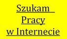 Szukam pracy dodatkowej w internecie - 2