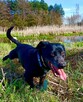 Przyjacielski uśmiechnięty Aniołek czeka na wymarzony domek - 11