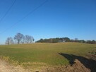 Działka rolna 2,94ha i/lub działkę zadrzewiona 5,05ha - 2
