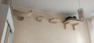 hotel dla Kota 50zl dobą żwirek w cenie - 7