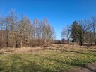 Sprzedam Działkę 5000 m2 przy lesie i drodze Silna - 5