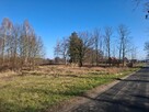 Sprzedam Działkę 5000 m2 przy lesie i drodze Silna - 2