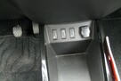 Dacia spring - 16