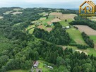 Działka leśna Lubcza gm. Ryglice - 2