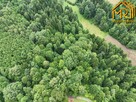 Działka leśna Lubcza gm. Ryglice - 3