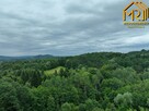Działka leśna Lubcza gm. Ryglice - 4