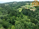 Działka leśna Lubcza gm. Ryglice - 5