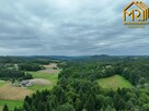 Działka leśna Lubcza gm. Ryglice - 6