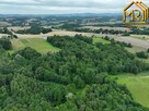 Działka leśna Lubcza gm. Ryglice - 8