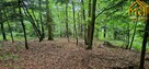 Działka leśna Lubcza gm. Ryglice - 11