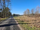 Sprzedam Działkę 5000 m2 przy lesie i drodze Silna - 3