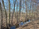 Sprzedam Działkę 5000 m2 przy lesie i drodze Silna - 4