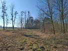 Sprzedam Działkę 5000 m2 przy lesie i drodze Silna - 6