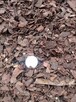 Kora sosnowa DROBNA. Frakcja 0 - 14 mm - 2