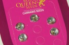 Nasiona konopi Mother Gorilla - ROYAL QUEEN SEEDS - 5 sztuk - 5