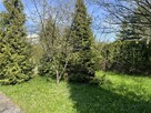 Działka rekreacyjna - 5