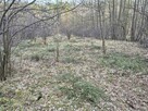 Grunt, działka - 6