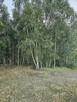 Działka rolna 1,3 ha - 6