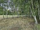 Działka rolna 1,3 ha - 3