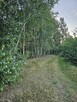 Działka rolna 1,3 ha - 4