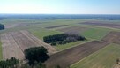 Działka rolna Śmiarowo gm. Mały Płock - 7