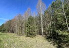 Działki leśne, Las, Tyśmienica, Gm. Parczew - 4