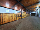 Dom Dolsk, - 13