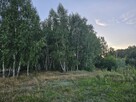 Działka rolna 1,3 ha - 7