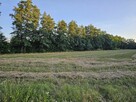 Działka rolna 1,3 ha - 9
