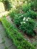 Sprzedam - 2