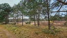 Działka w cichym miejscu Sieradza 1338 m2 Herby - 5