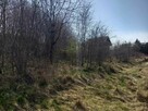 Działka nad morzem Rusinowo - 9