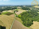 Działka rolna Lubcza gm. Ryglice - 5
