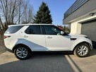 Jak NOWY DISCOVERY Pneumatyczne zawieszenie, Szklany dach x2, skóra - 6